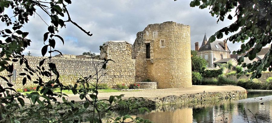 Le château LE CHÂTEAU DE BRIE COMTE ROBERT