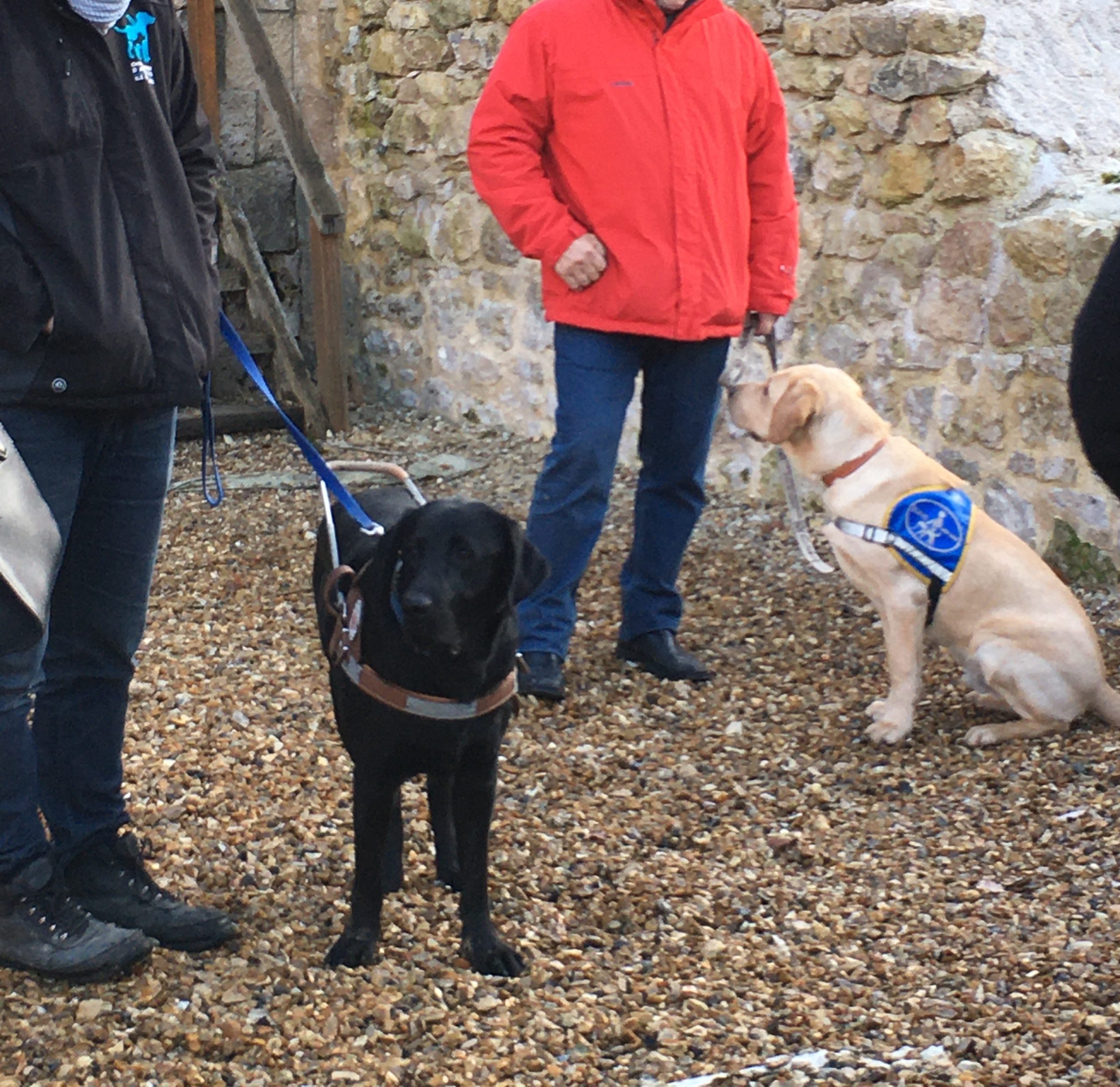 Deux hommes avec chacun un chien d'assistance. 